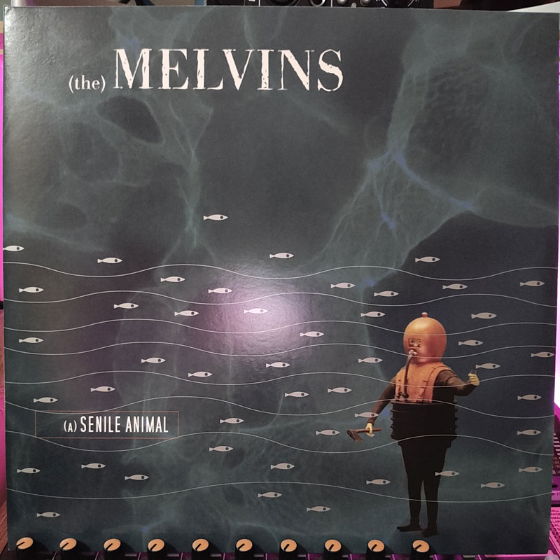 Melvins – (A) Senile Animal