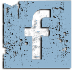 icon facebook